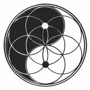 Meet your Posher, Cameron